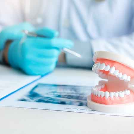 Dentist in Savannah displaying dentures