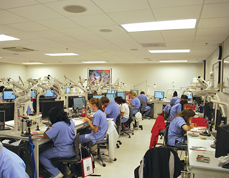 Dentist working in dental school classroom